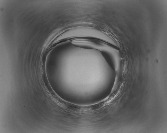 X0000078300101200611031306