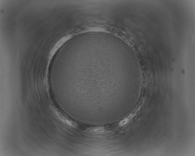X0000078300104200611031306