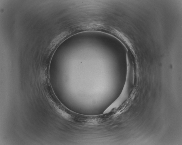 X0000078300105200611031306