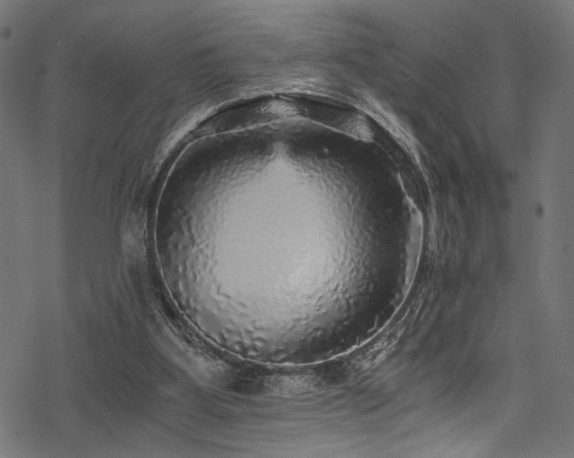 X0000078300107200611031306