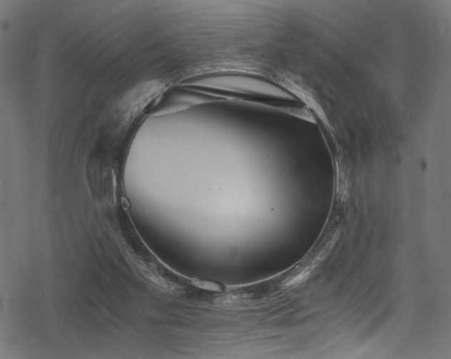 X0000078300109200611031306