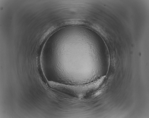 X0000078300111200611031306