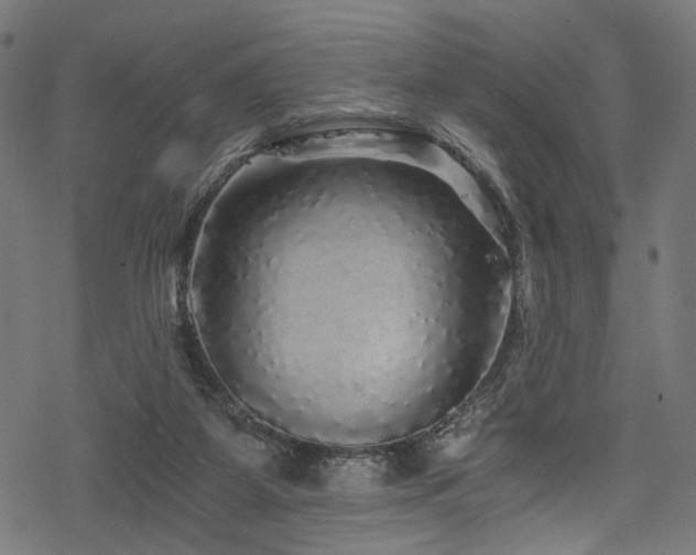 X0000078300115200611031306