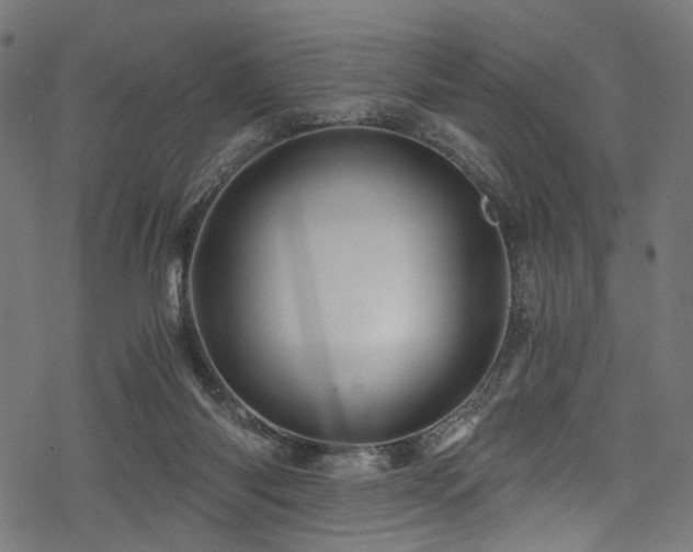 X0000078300118200611031306