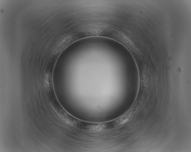 X0000078300122200611031306