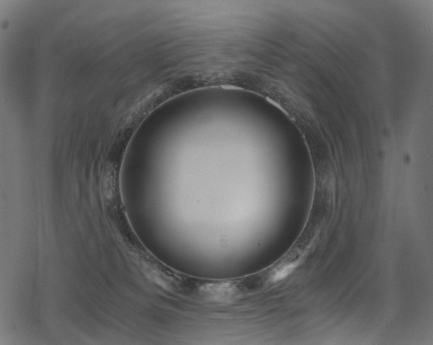 X0000078300133200611031306