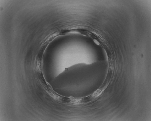 X0000078300143200611031306