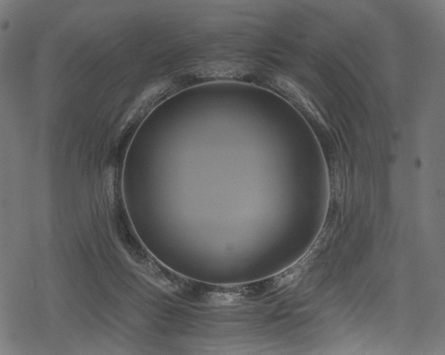X0000078300167200611031305