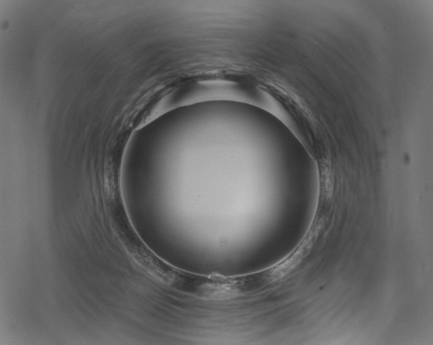 X0000078300170200611031305