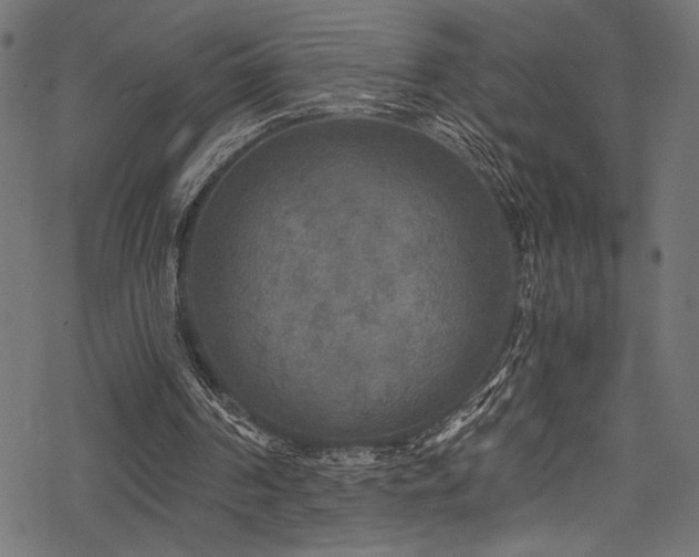 X0000078300194200611031305