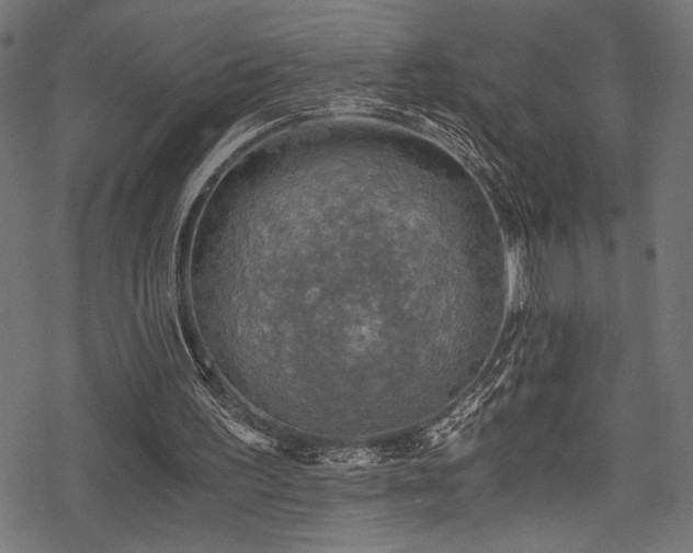 X0000078300195200611031305