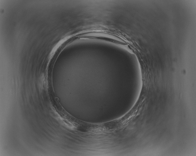 X0000078300200200611031305