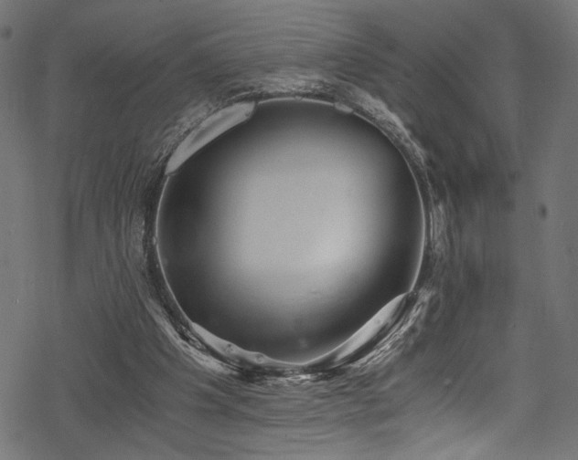 X0000078300201200611031305