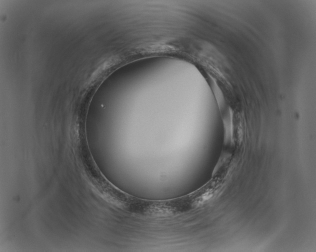 X0000078300207200611031305