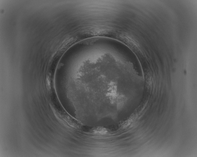 X0000078300214200611031305