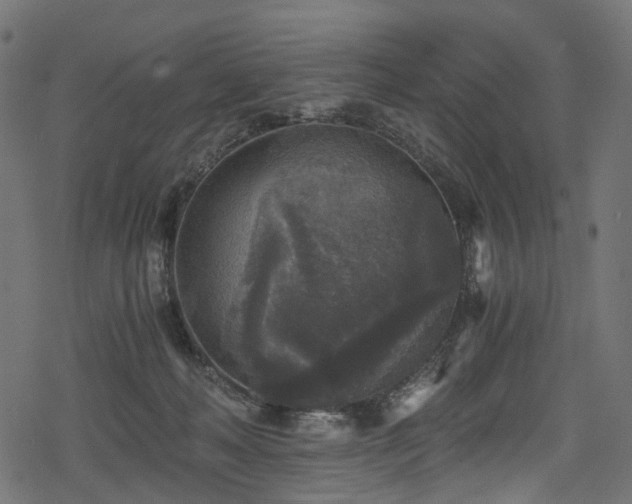 X0000078300222200611031304