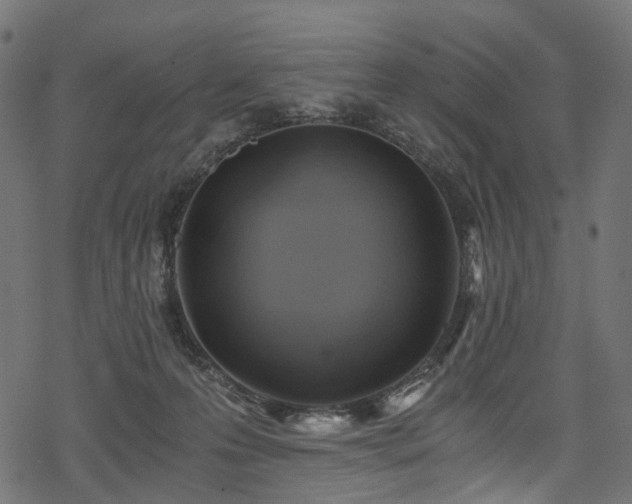 X0000078300223200611031304