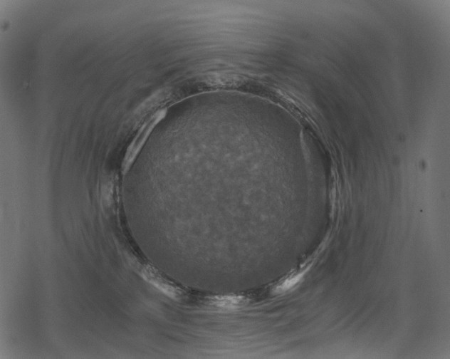 X0000078300233200611031304