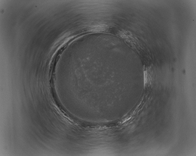 X0000078300243200611031303