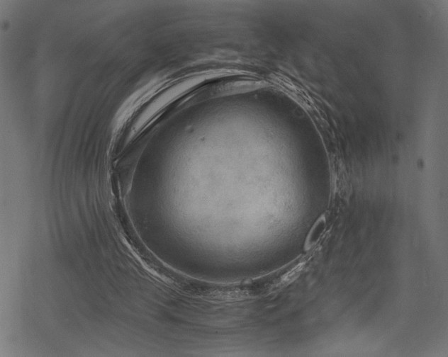 X0000078300245200611031303