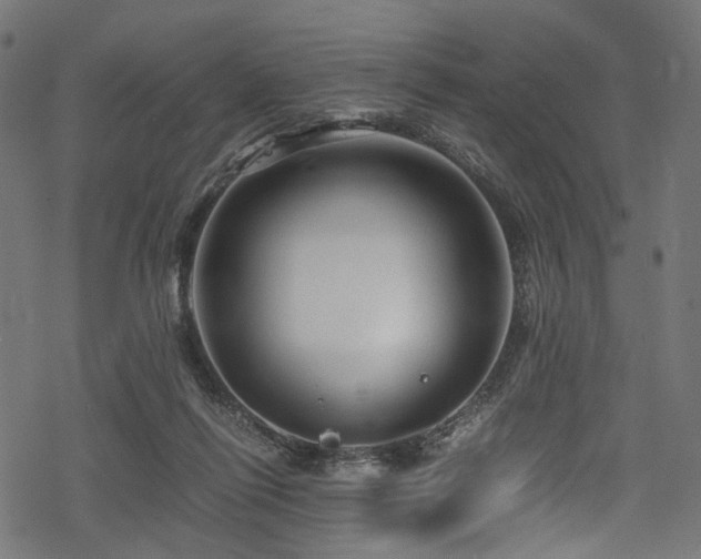 X0000078300262200611031304