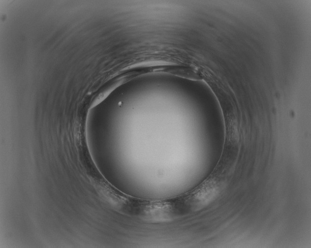 X0000078300274200611031304