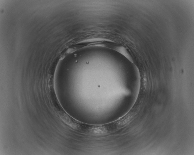 X0000078300275200611031304