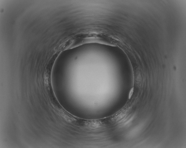 X0000078300282200611031304