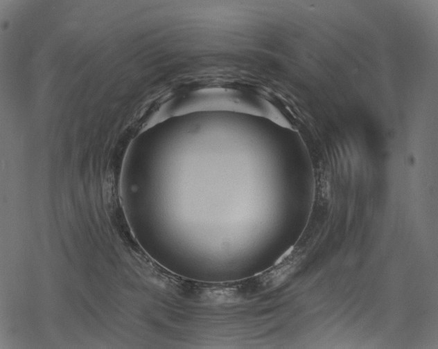 X0000078300283200611031304