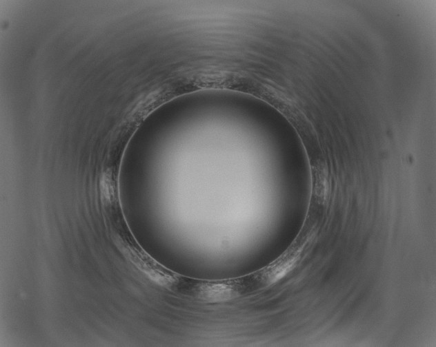 X0000078300287200611031304