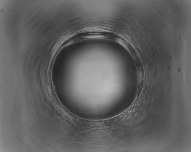 X0000078300289200611031303