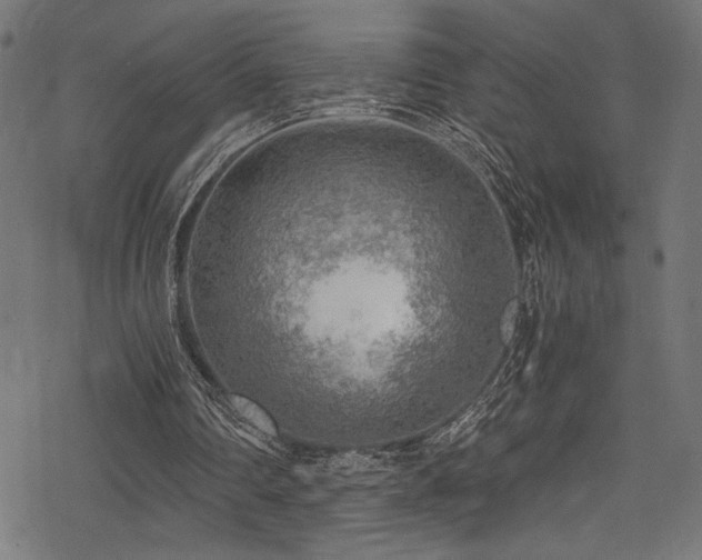 X0000078300290200611031303