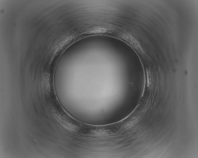 X0000078300300200611031303