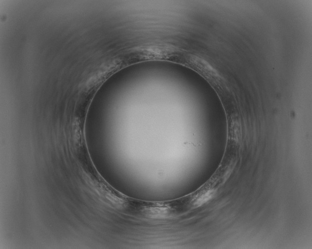 X0000078300318200611031303