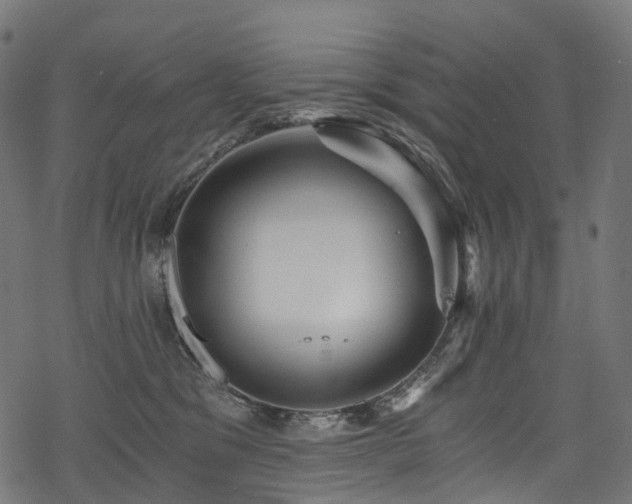 X0000078300329200611031303