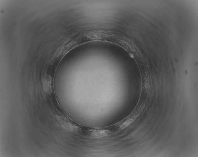 X0000078300332200611031303
