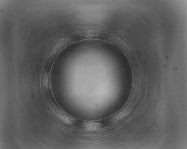 X0000078300336200611031303