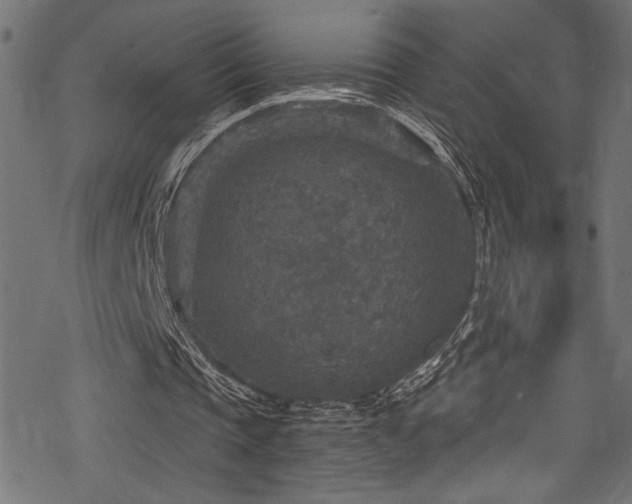 X0000078300337200611031302