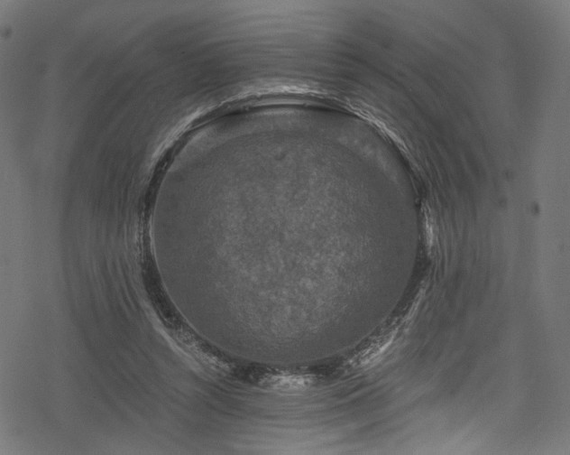 X0000078300352200611031302