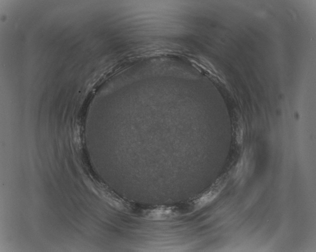 X0000078300366200611031302