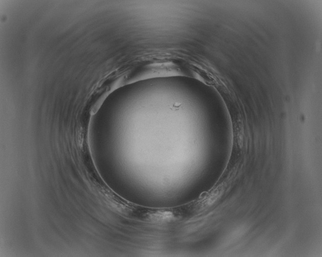 X0000078300374200611031302