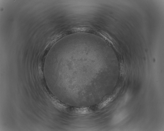 X0000078300377200611031302
