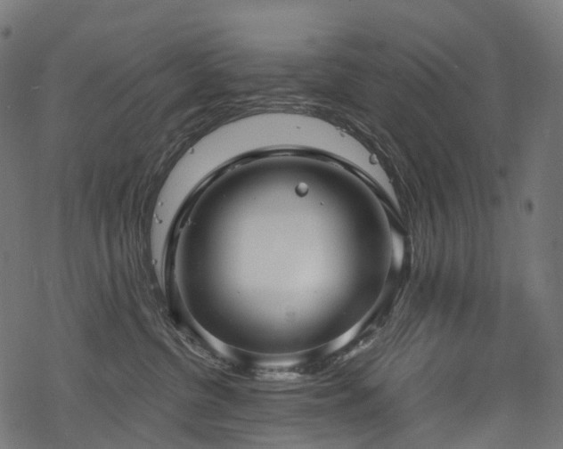 X0000078300380200611031303