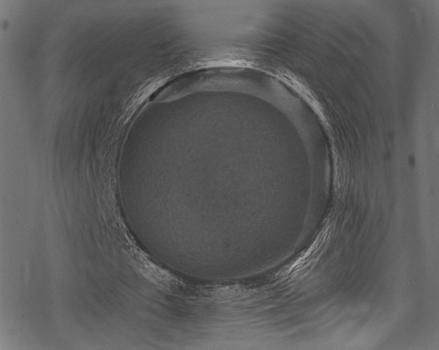 X0000078300385200611031302