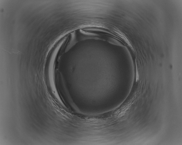 X0000078300387200611031302