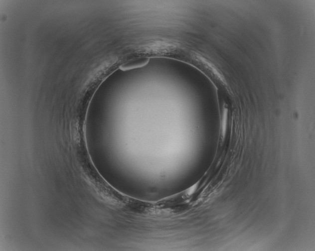 X0000078300403200611031302
