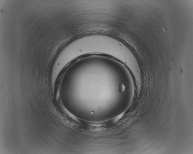 X0000078300407200611031301
