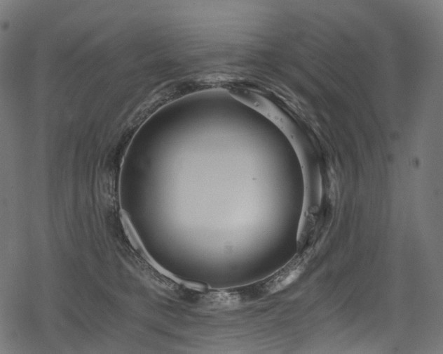 X0000078300421200611031301
