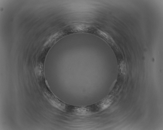 X0000078300423200611031301