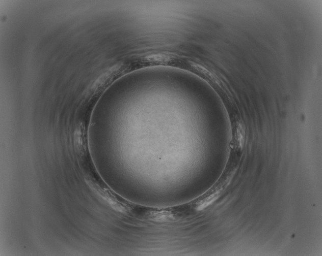 X0000078300424200611031301